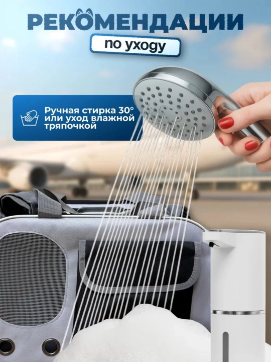Собака выходит из дома с рюкзаком кошки, который находится в пределах 8 кг