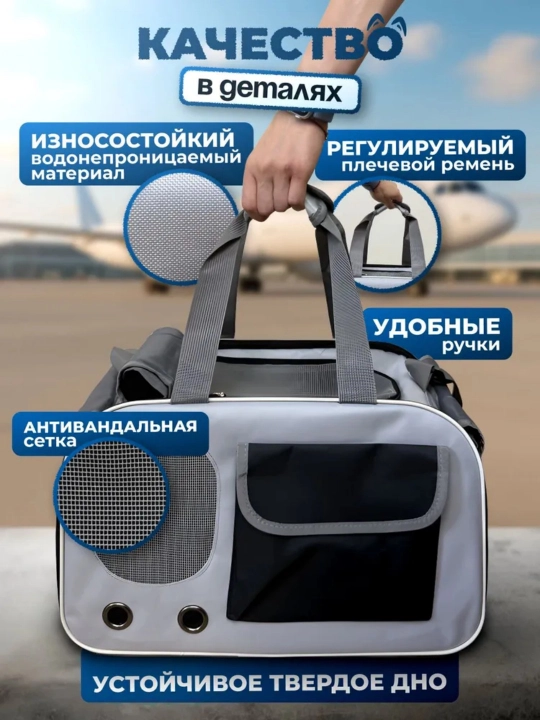 Собака выходит из дома с рюкзаком кошки, который находится в пределах 8 кг