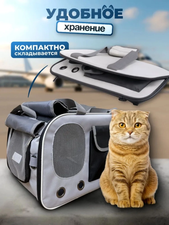 Собака выходит из дома с рюкзаком кошки, который находится в пределах 8 кг