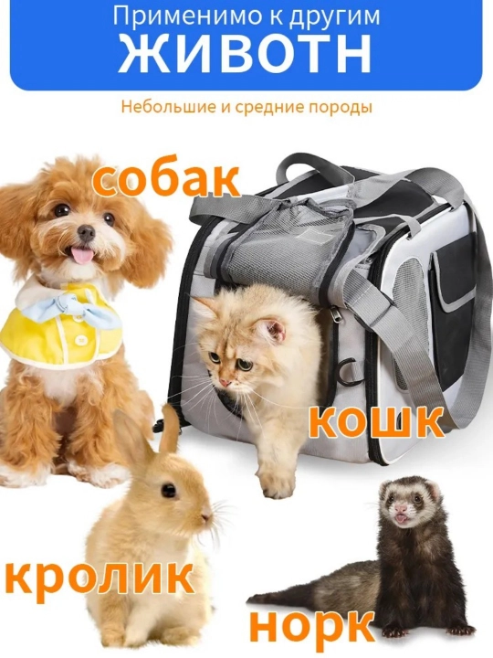 Pet Cat Dog Backpack Portativ katlanabilir sumka materiallari