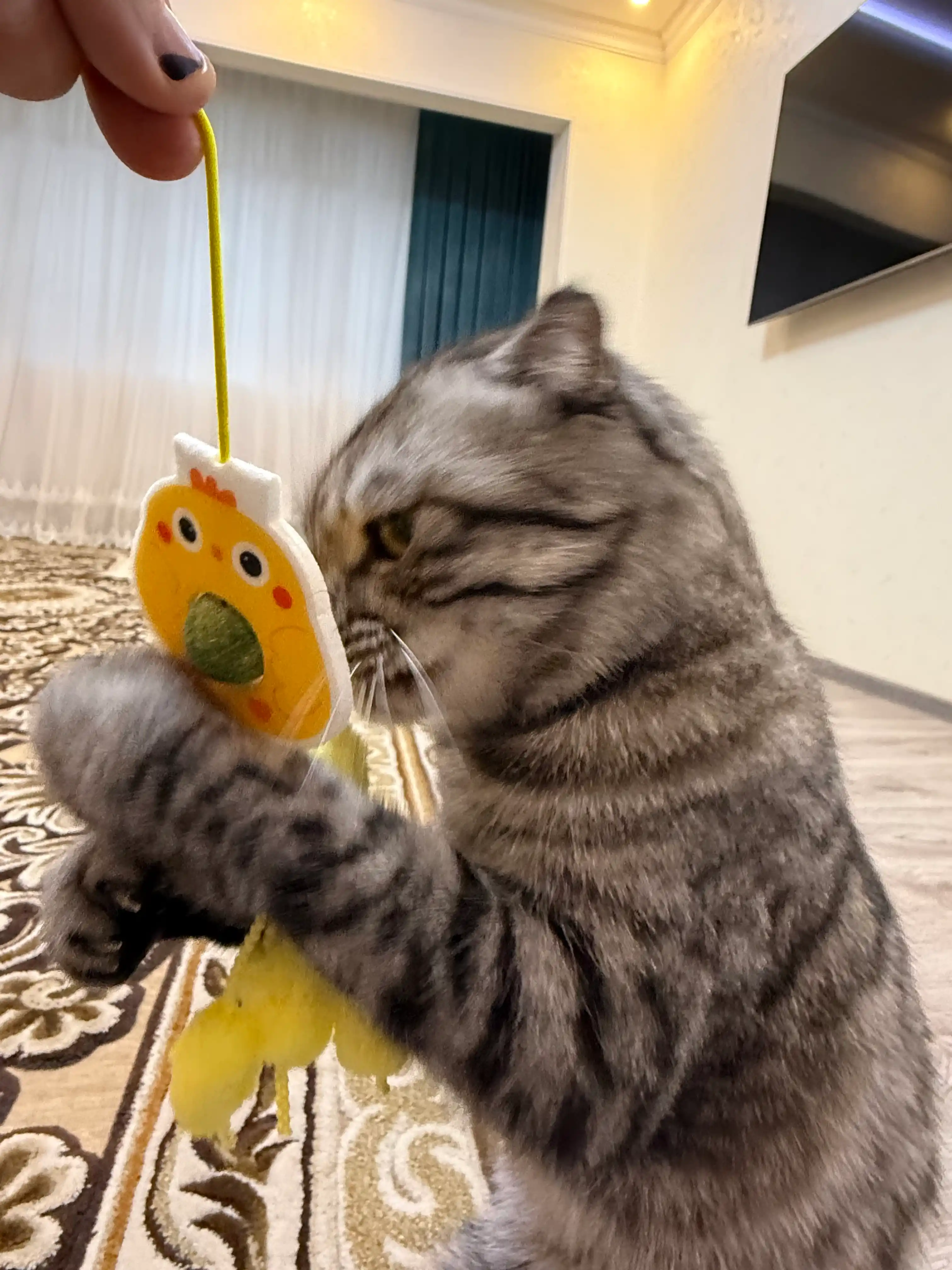 Игрушка для кошек с эластичной проволокой и мячиками из кошачьей мяты