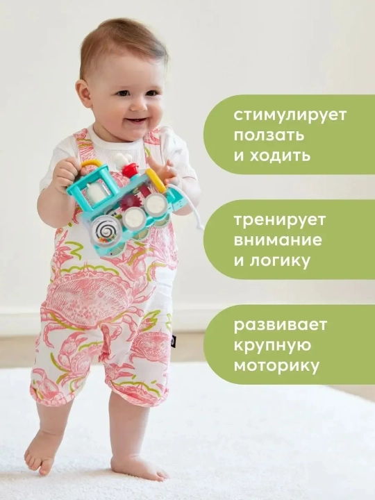 Bolalar uchun rivojlantiruvchi "Hola" o‘yinchoqlari: fil bolasi - parovoz va saralagich