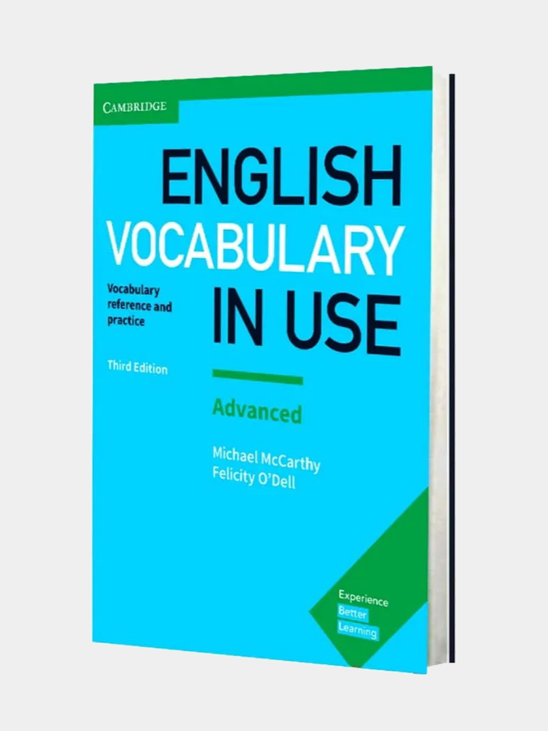 English Vocabulary in Use - 