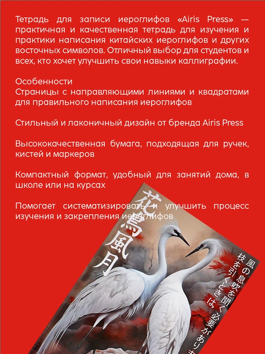 Тетрадь для иероглифов Airis Press: прописи, каллиграфия, японский язык, китайский, обучение
