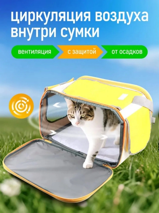 Собачка на открытом воздухе с одним плечевым пакетом, который может дышать кошачьей сумкой