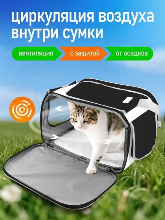 Собачка на открытом воздухе с одним плечевым пакетом, который может дышать кошачьей сумкой