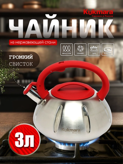 Чайник нержавейка стали, с разноцветный ручкой, 3.0 л