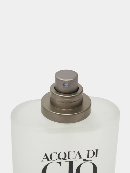 Туалетная вода для мужчин Giorgio Armani Acqua Di Gio Homme, 100 мл