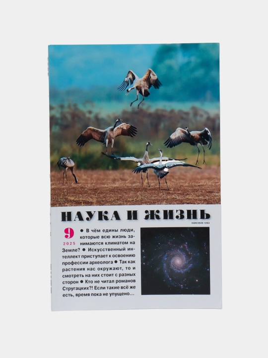 Nauka i zhizn`  - 