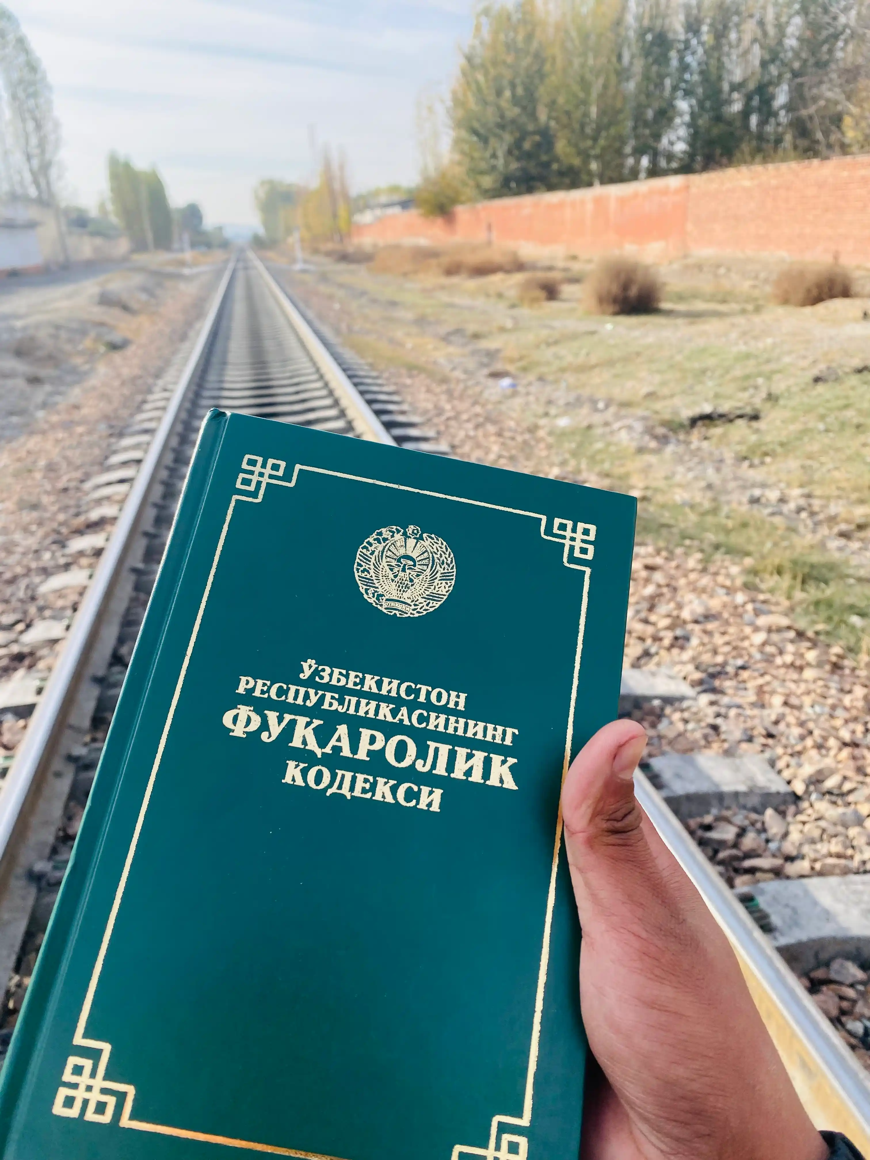 Kodekslar Jinoyat protsessual, Fuqorolik, Soliq, Mehnat, Ma'muriy javobgarlik kodeksi