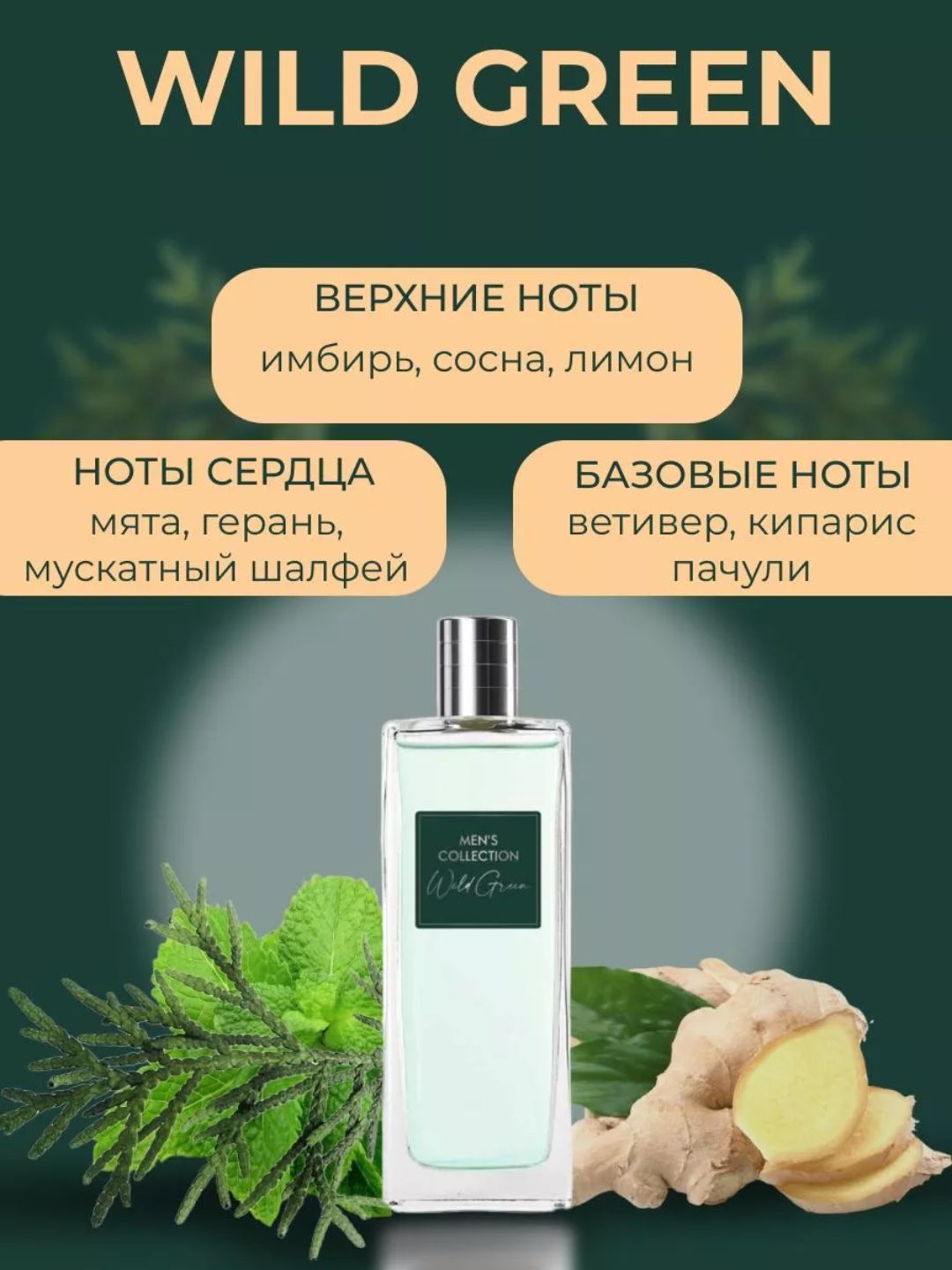 Men Collection Wild kuchli xarakter egalari uchun parfyum 75ml