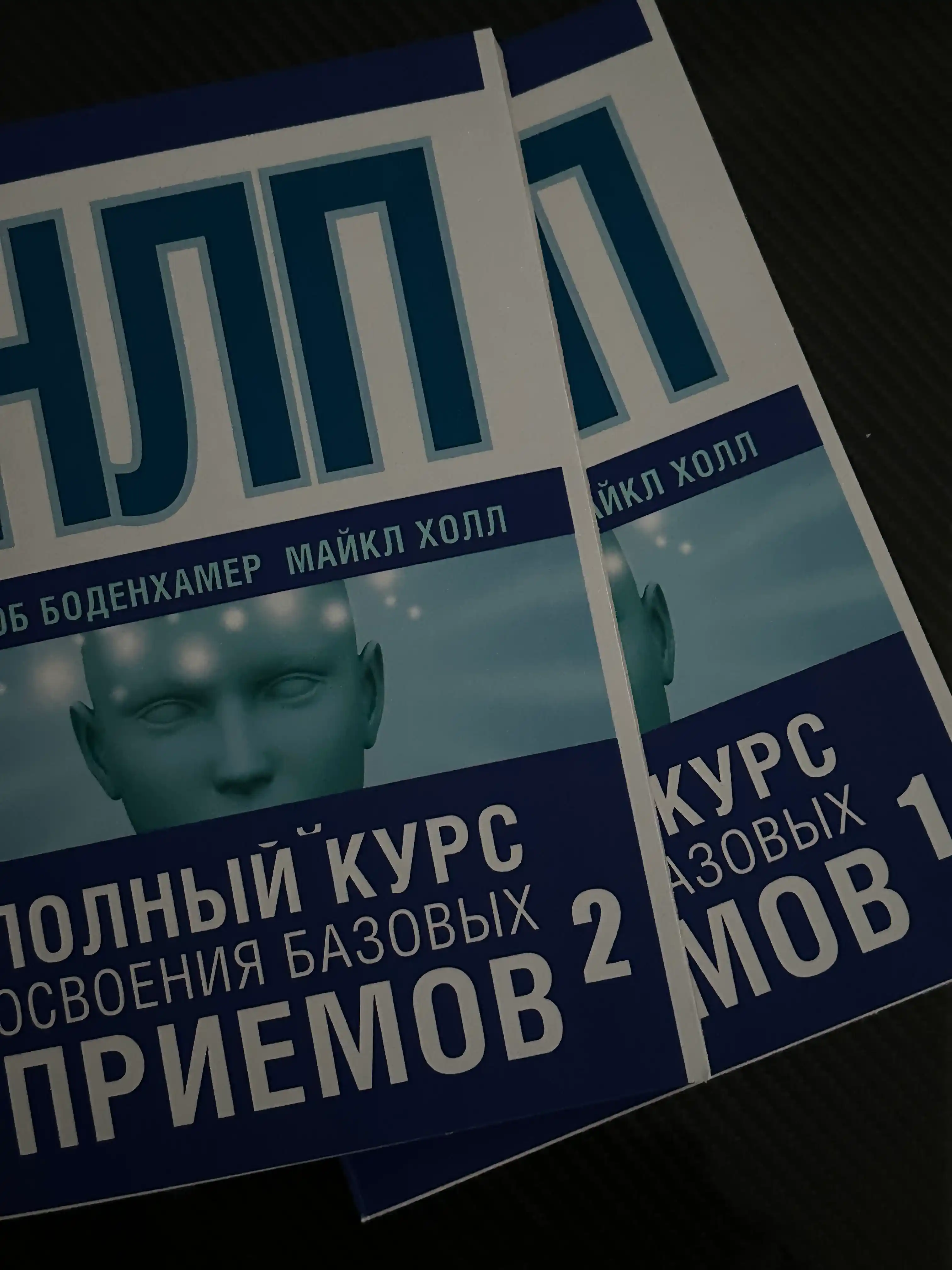 Боб Боденхамер: НЛП. Полный курс освоения базовых приемов