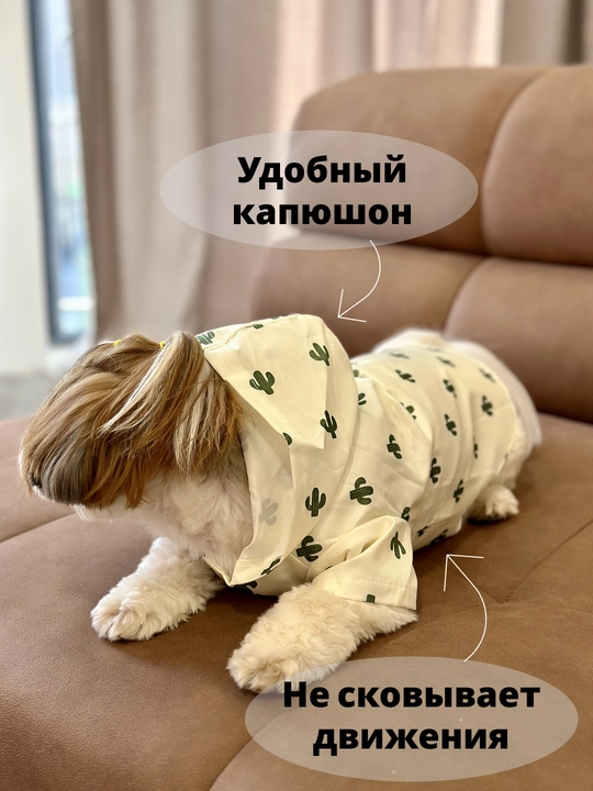 Itlar uchun yomg'ir paltosi qalpoqli, yomg'ir va axloqsizlikdan himoya qiladi