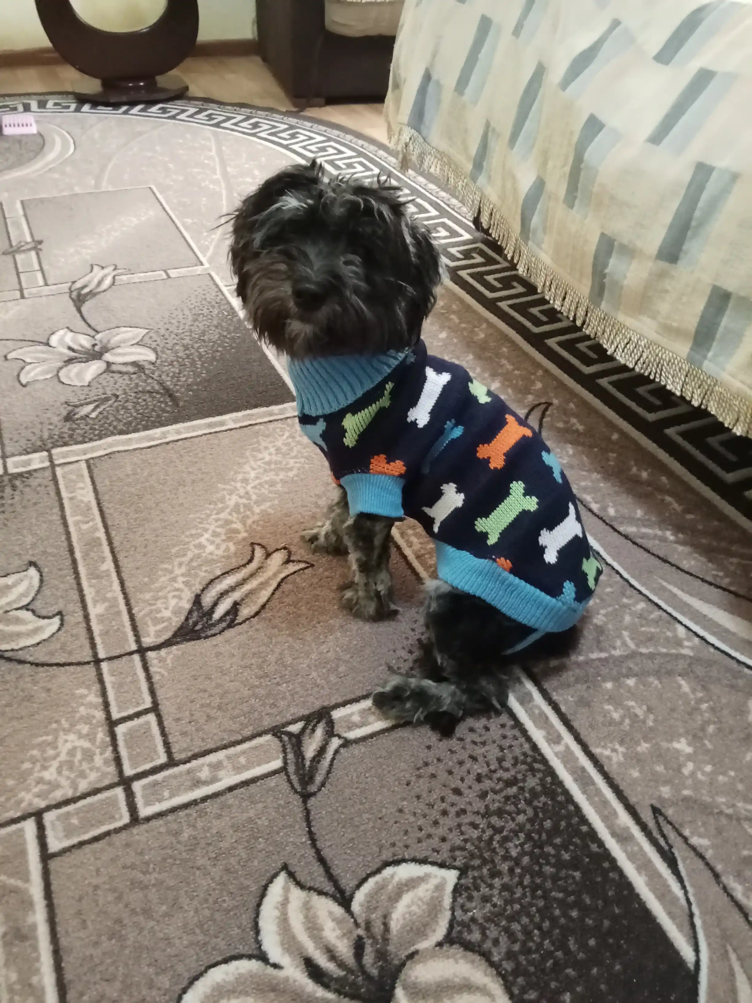 Свитер для собак и кошек