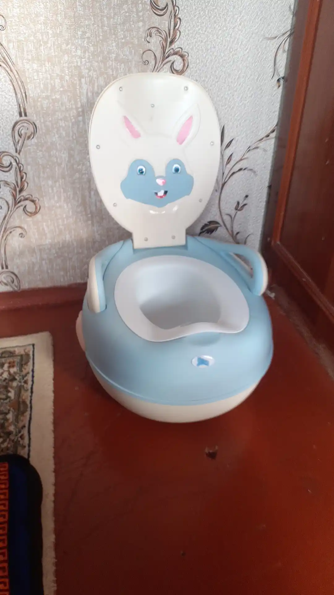 Bolalar uchun tuvak Coco, qopqoqli va orqa o'rindiqli 
