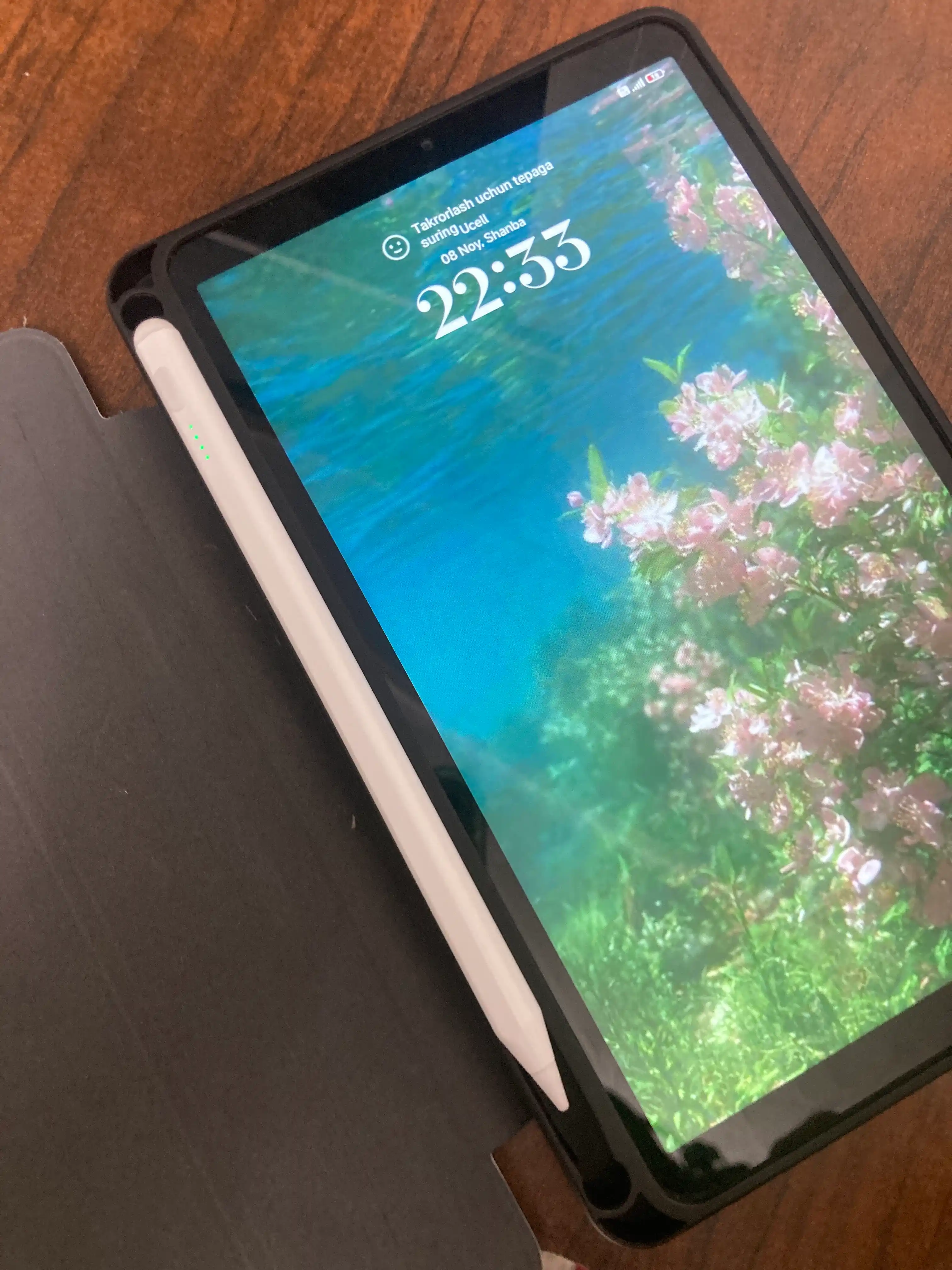 Стилус для планшетов Xiaomi и Redmi