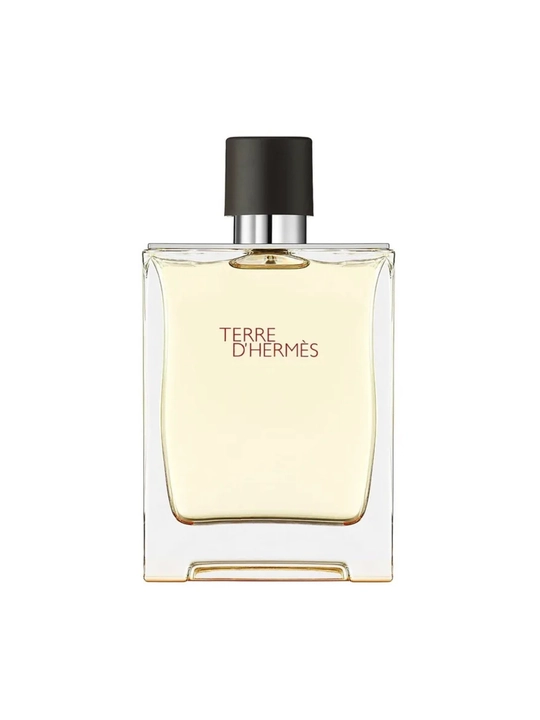 Hermes Terre D'Hermes Eau de Toilette, 100 ml - 