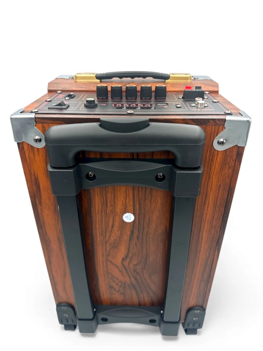 Karaoke Bluetooth kolonka BQ-8, mikrofon bilan, kuchli ovoz