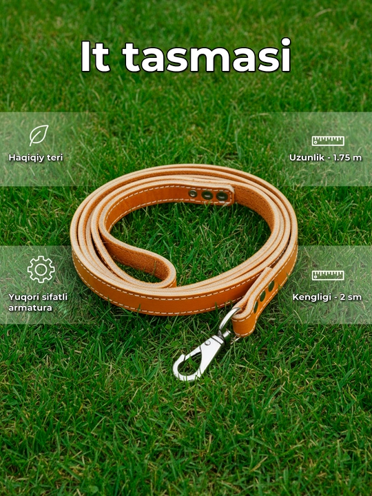 O'rta itlar uchun charm tasma: 1,75 m × 2 sm, metall karabin - 