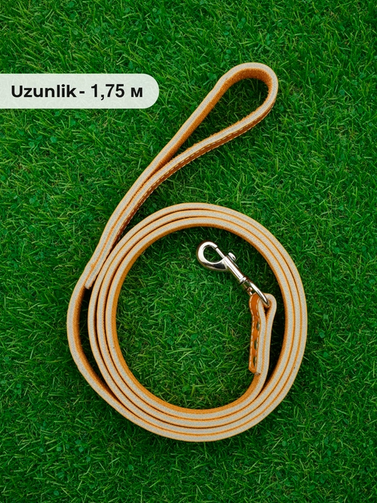 Кожаный поводок для мелких и средних пород собак: 1,75 м × 2 см, металлический карабин