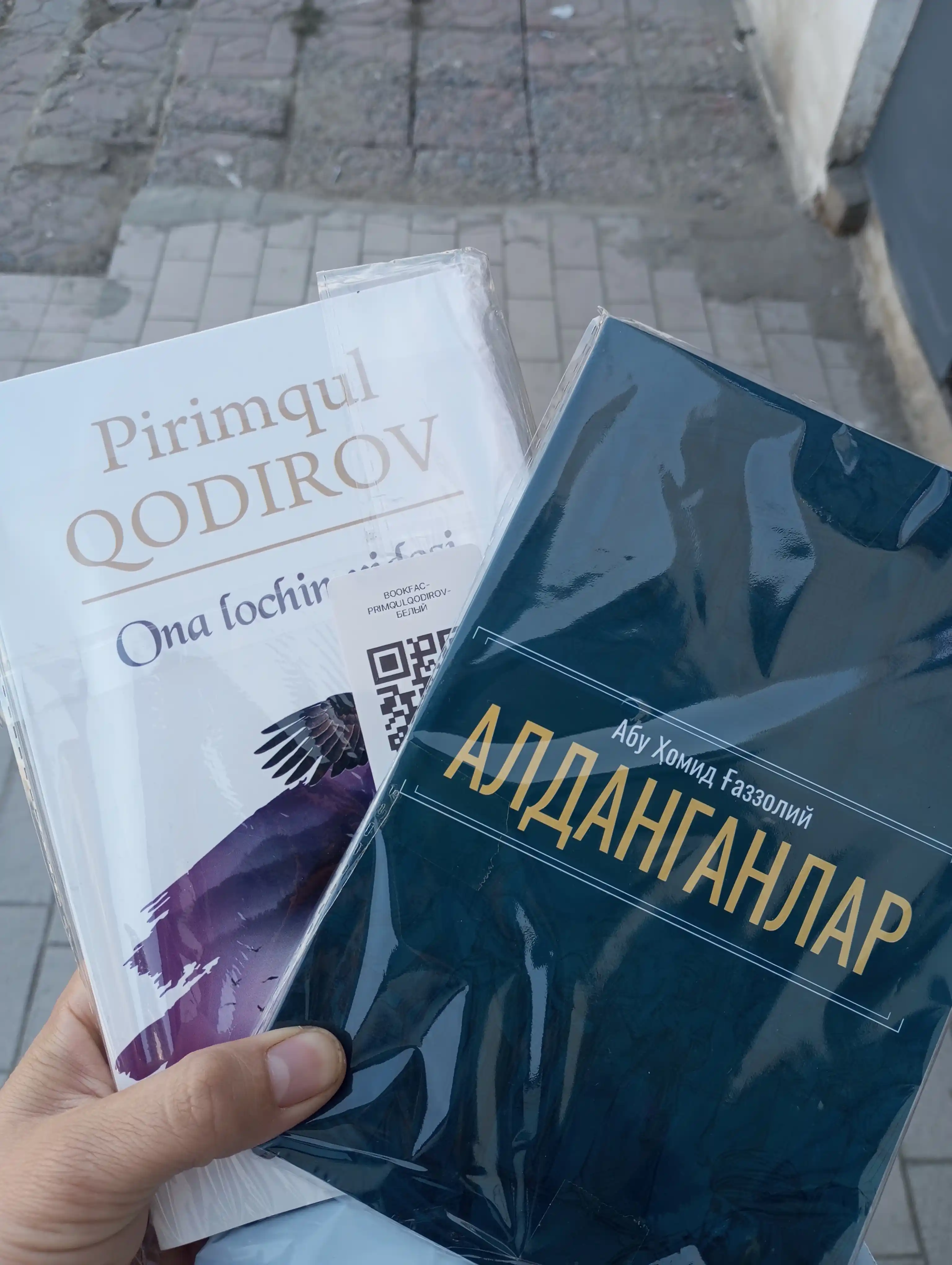 Пиримкул Кодиров, Олмос камар, Она лочин видоси, Юлдузли тунлар