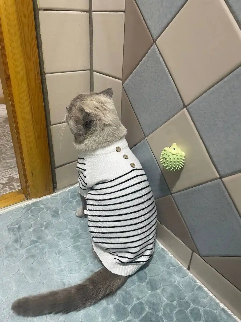 Вязаный свитер для собак и кошек