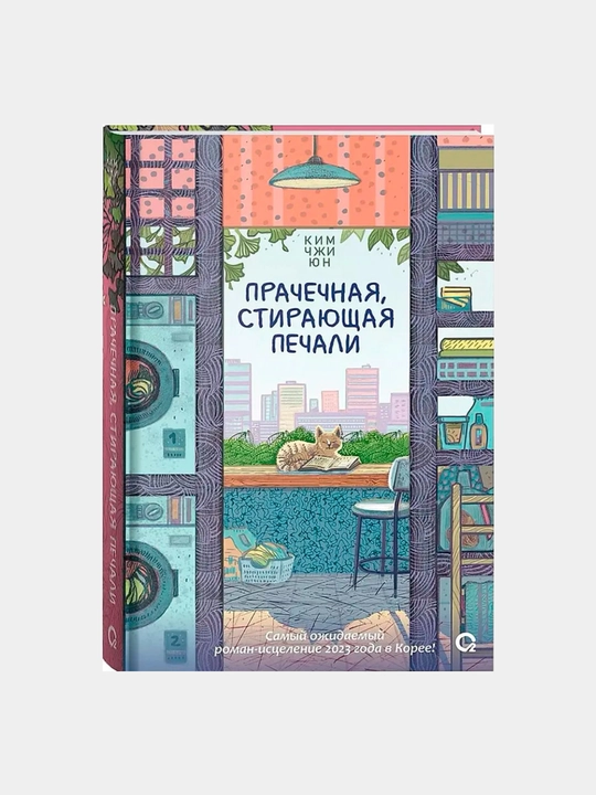 Prachechnaya, stirayushchaya pechali. Kim Chzhi Yun - 