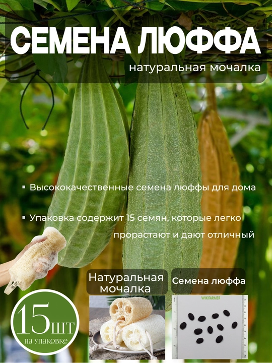 Семена мочалки Люффа, 15 штук - 
