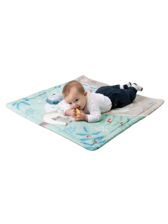 Chicco 2-в-1 «Сова» интерактивный коврик, день/ночь, 0+, музыка и огни