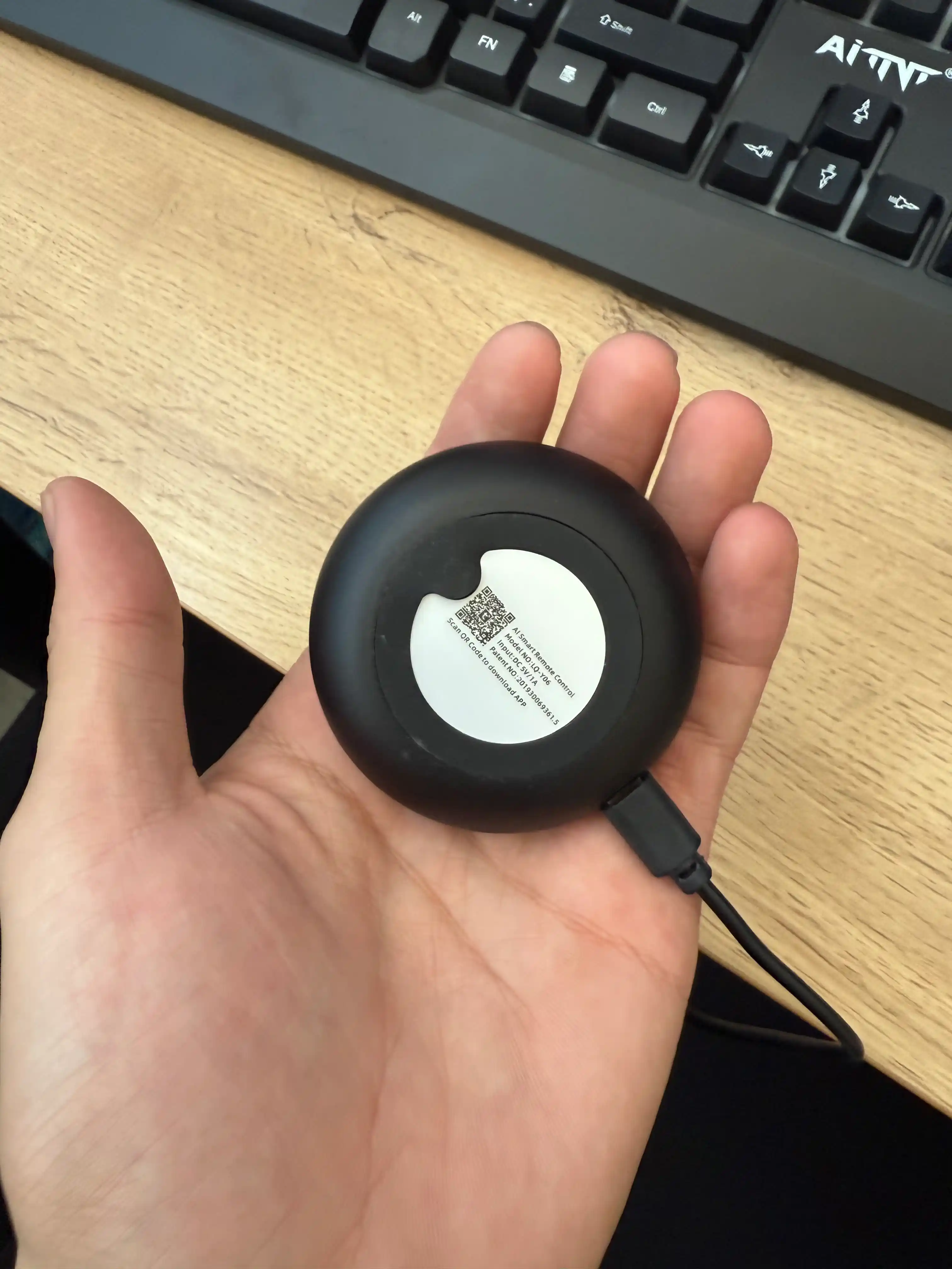 Aqlli universal pult Alisa/Marusya uchun – ovoz bilan boshqariladigan IQ-kontroller