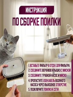 Белый