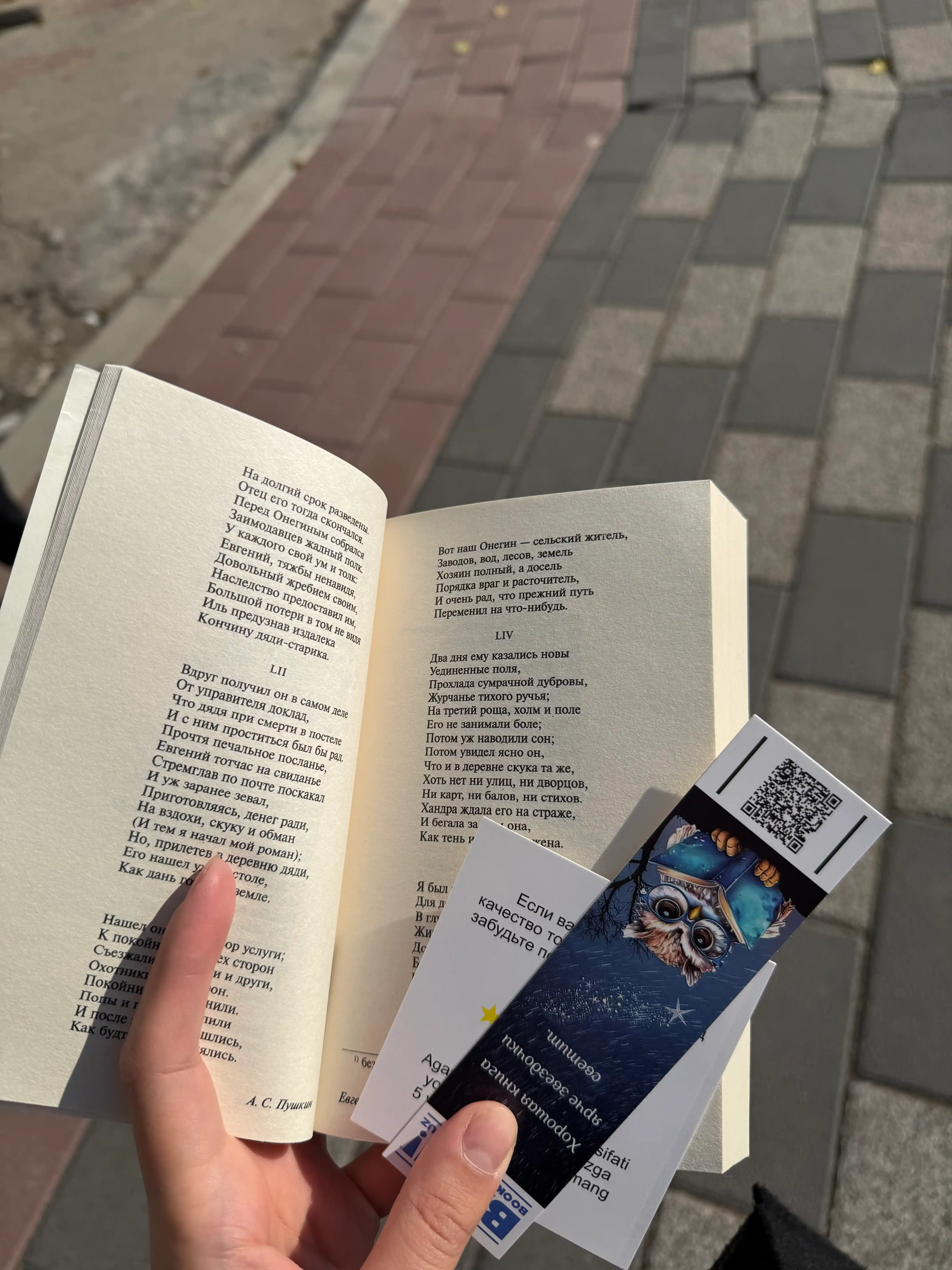Евгений Онегин, Борис Годунов. Маленькие трагедии, Александр Пушкин