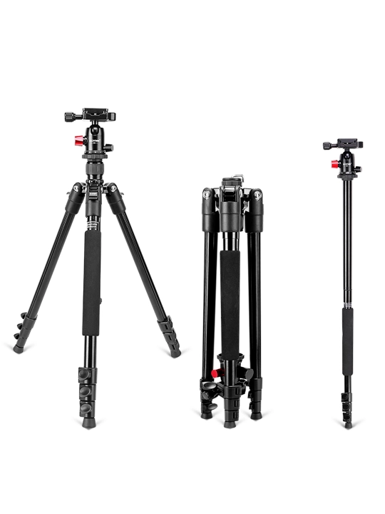 ZOMEI M5 kamera tripodi, engil alyuminiy portativ to'p boshli tripod
