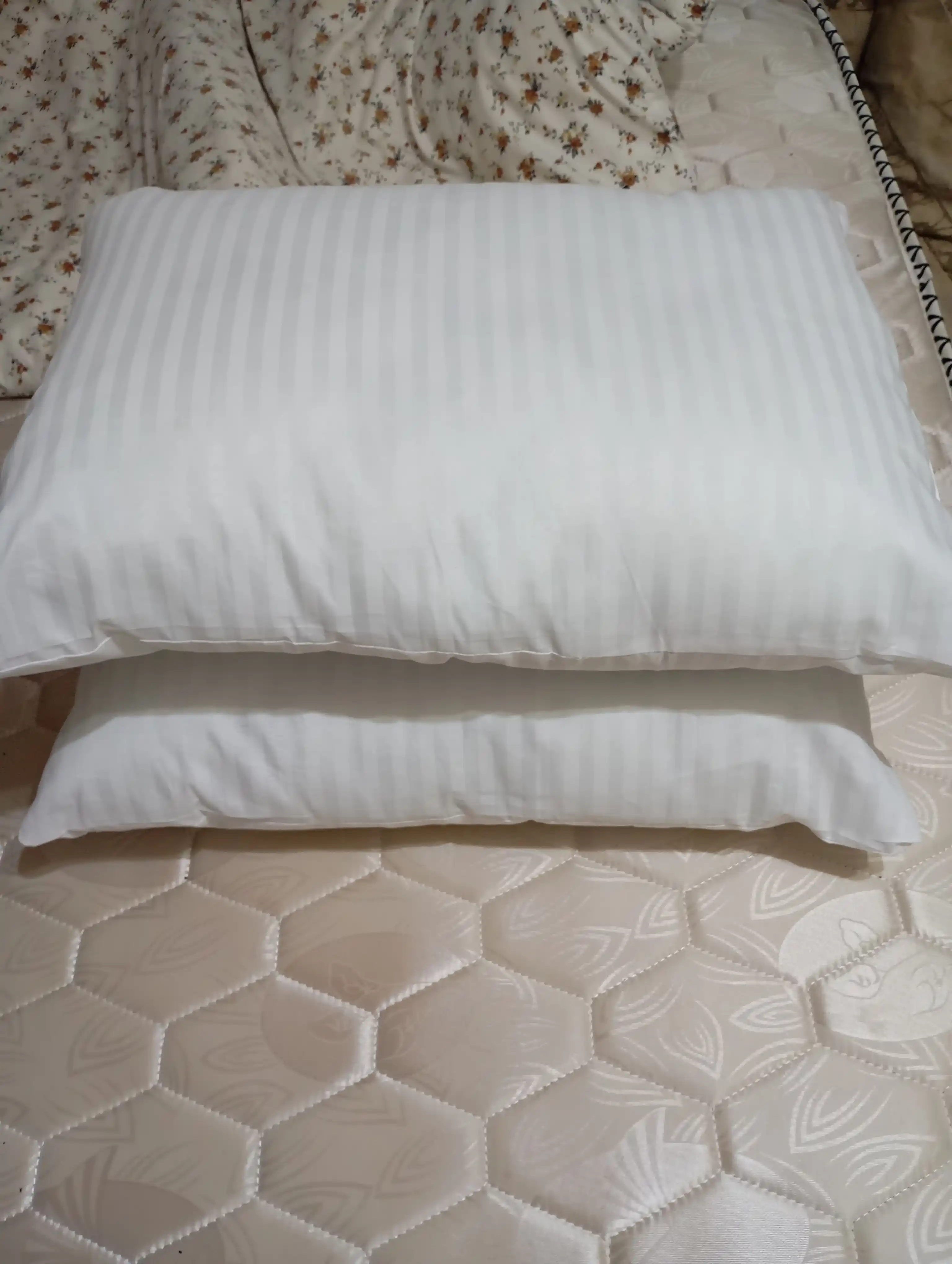 Rania yostiqlar to'plami, eko-bambuk, gipoallergen, 2 dona