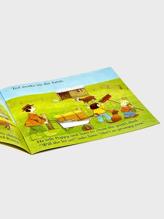 Farmyard Tales Barn on Fire, The Silly Sheepdog, The Grumpy Goat, Going to School