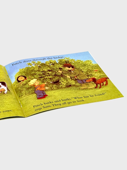 Farmyard Tales Barn on Fire, The Silly Sheepdog, The Grumpy Goat, Going to School