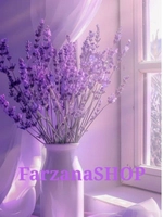 Farzana shop