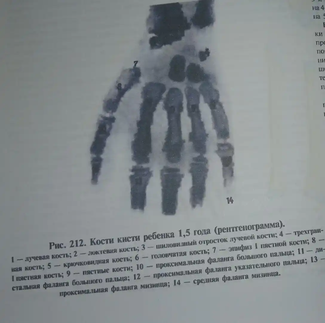 Atlas odam anatomiyasi rus tilida, 1, 2, 3, 4 qismlar