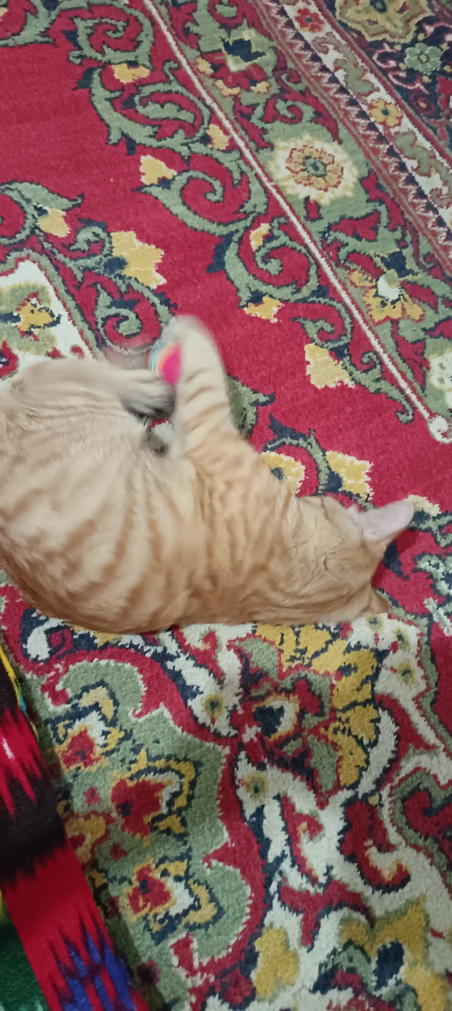 Игрушка для кошек мягкий шарик 1 шт, красный полосатый
