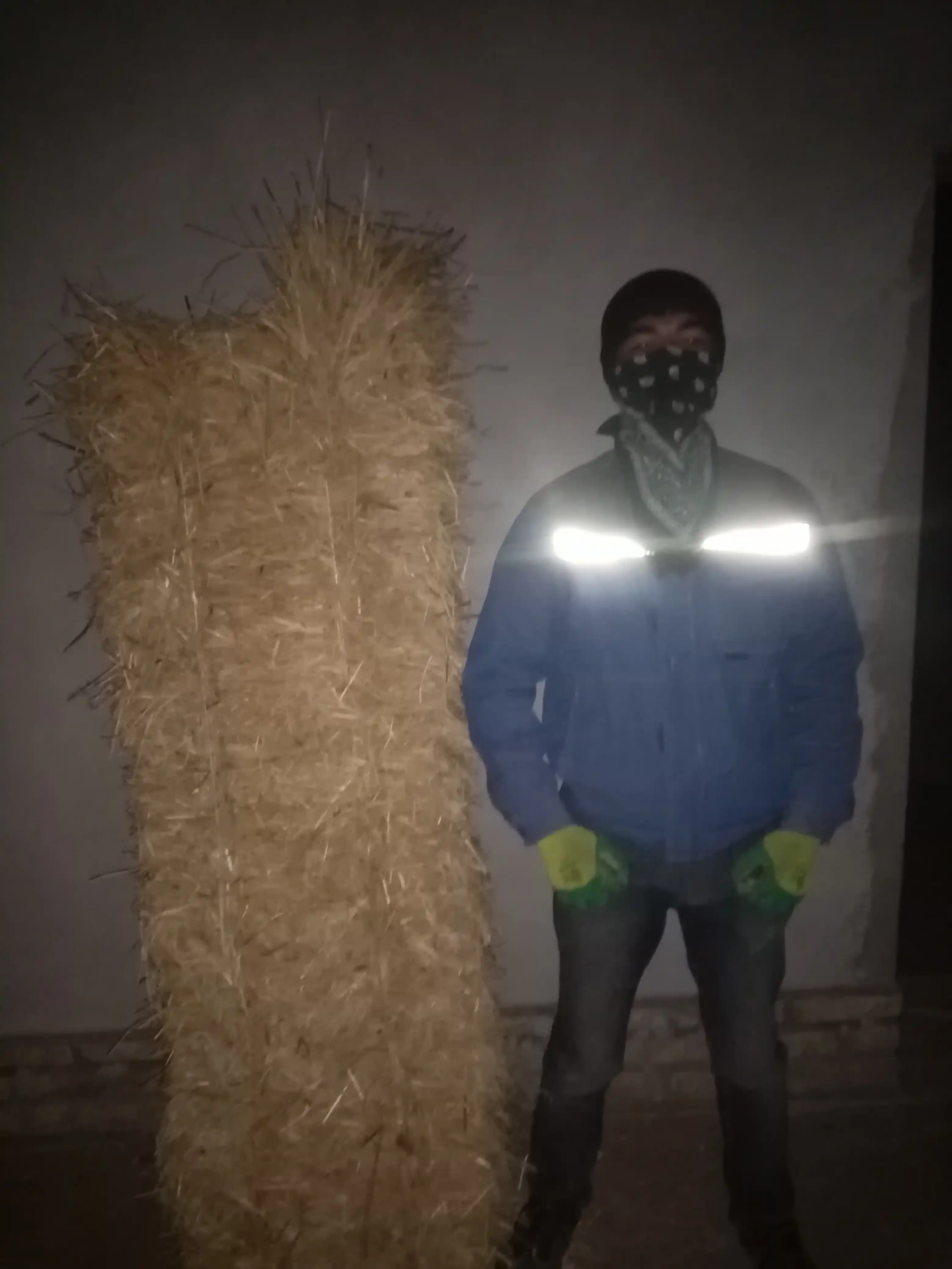 Бандана, платок для девушек, повязка на голову, для женщин и детей, 100% хлопок
