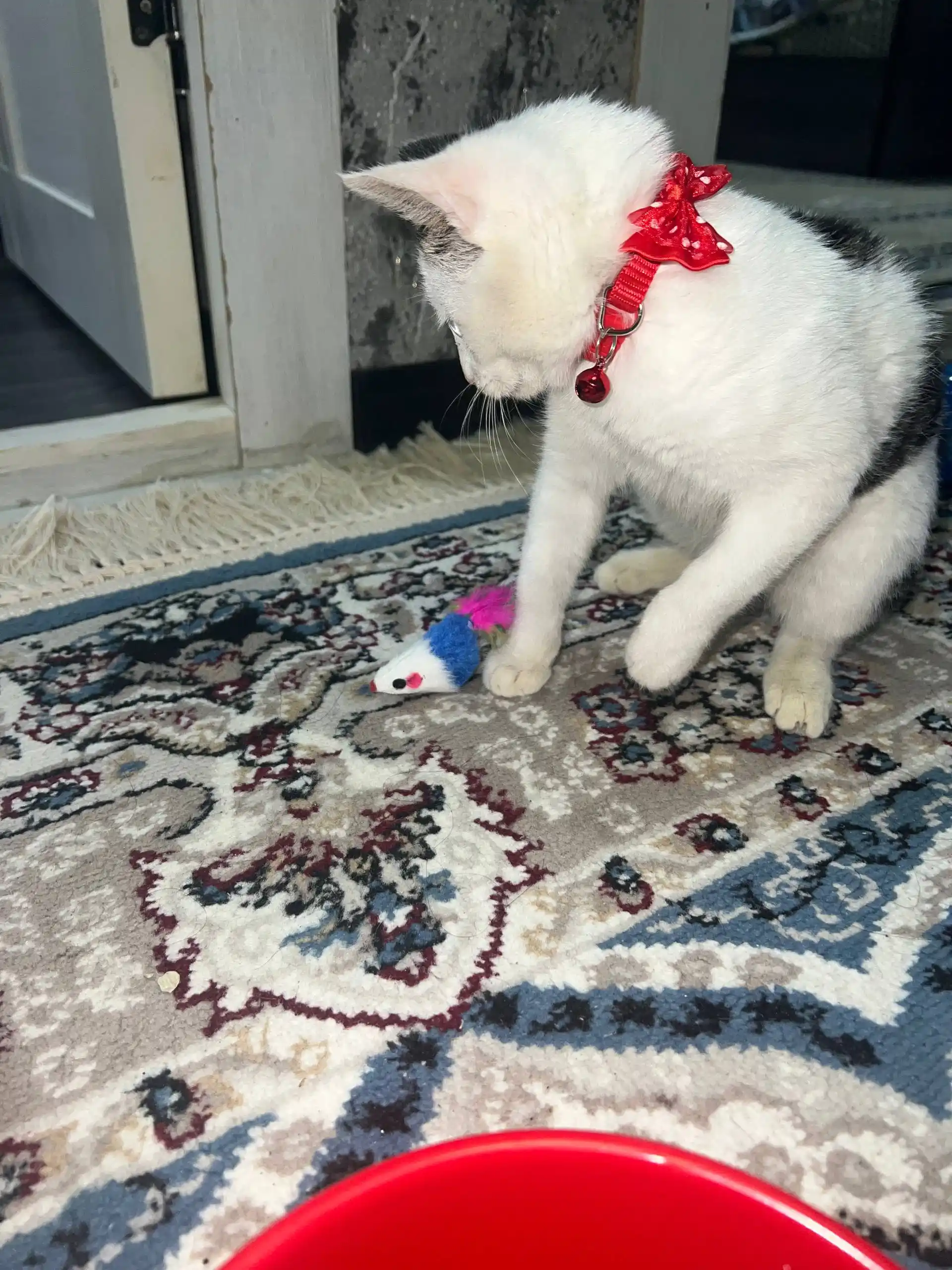 Игрушка мышь для кошек