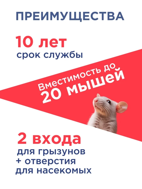 Sichqon gumanna, to’rtburchakli metall jivovka, kalamush va sichqonlar uchun tuzoq
