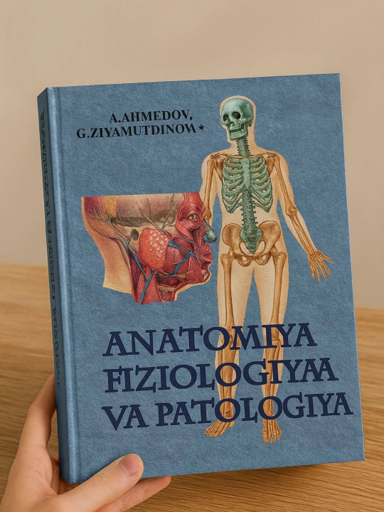 Анатомия, Физиология и Патология - 
