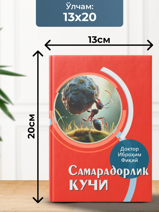 Samaradorlik kuchi, Doktor Ibroxim Fiqiy