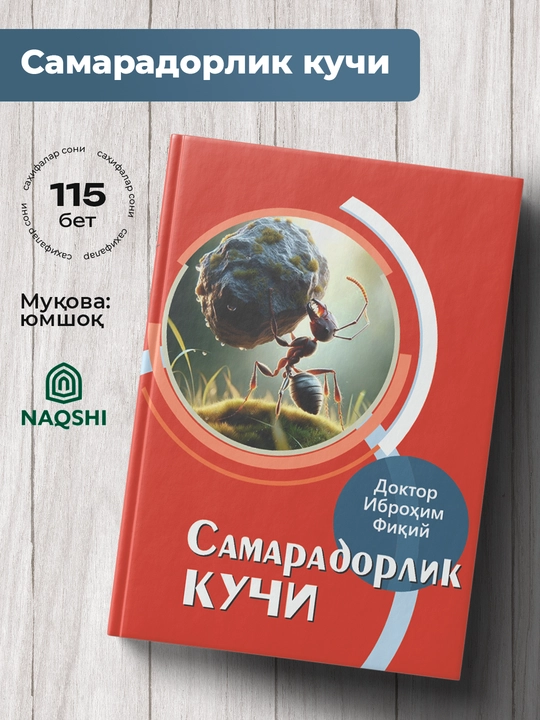 Самарадорлик Кучи, Доктор Иброхим Фикий - 