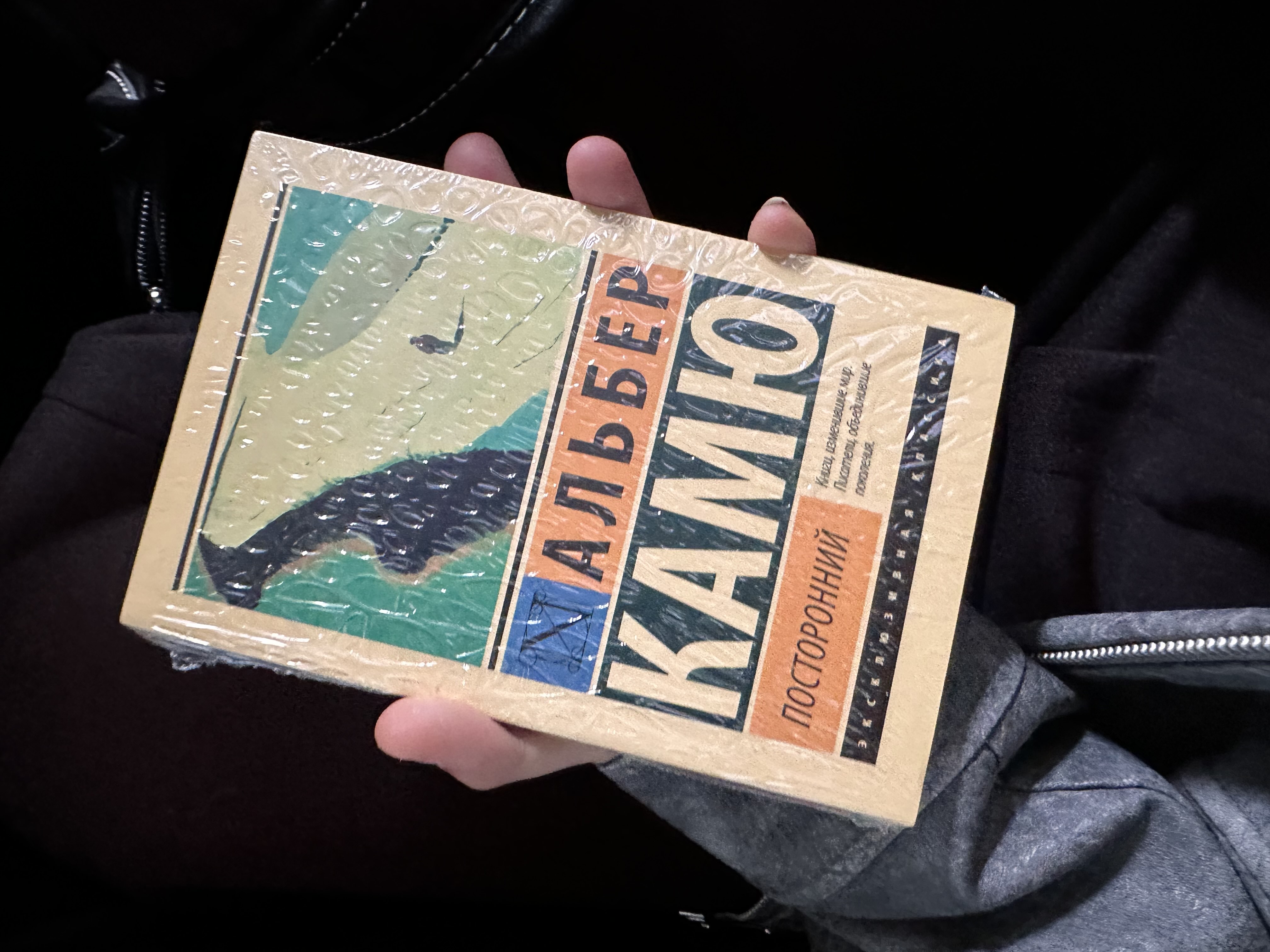 Посторонний. Альбер Камю