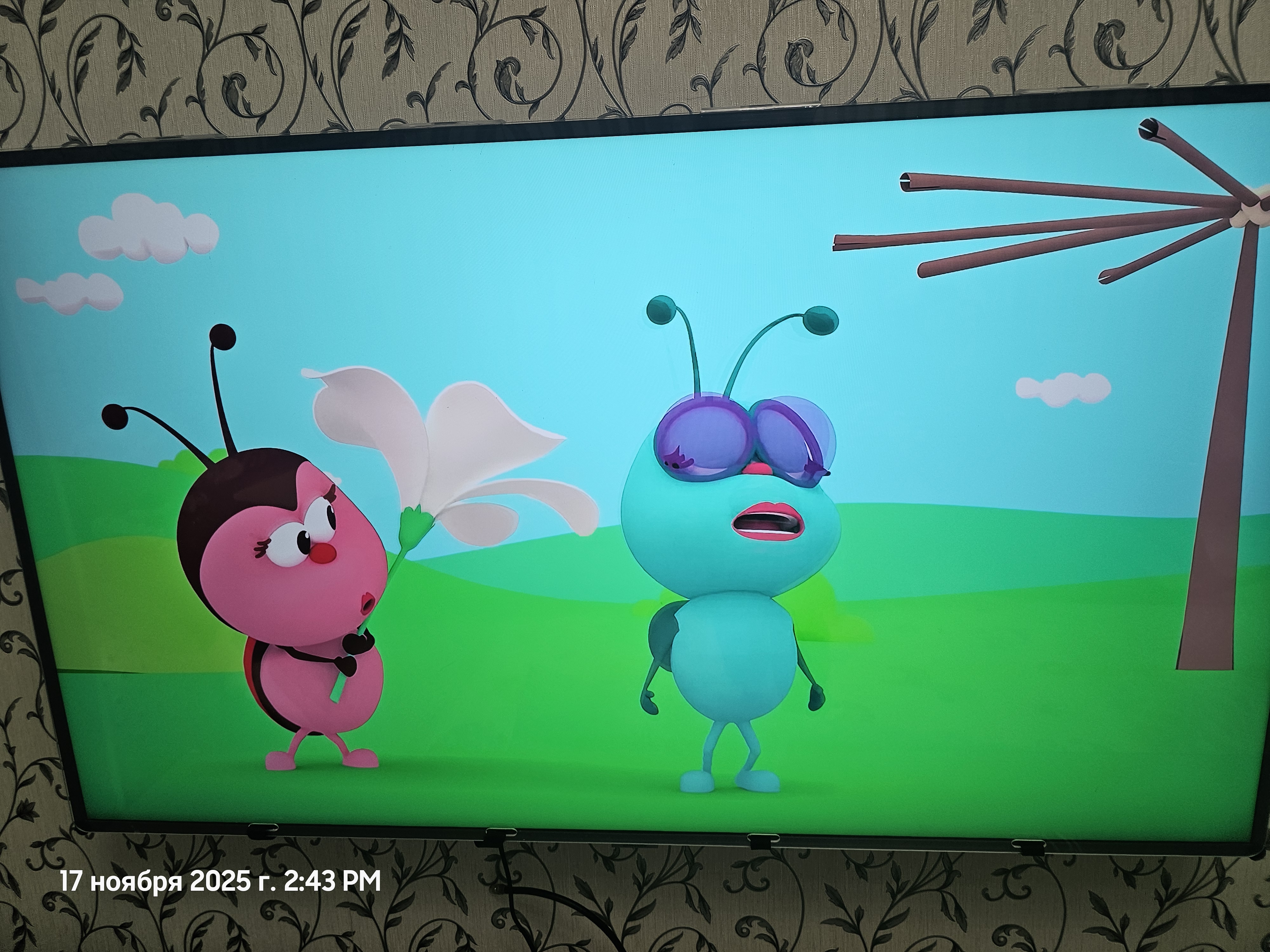 Защитный экран телевизора, 50"