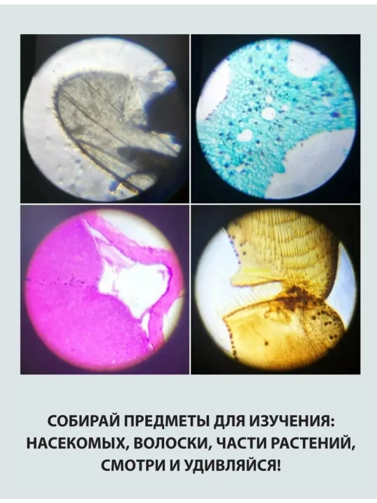 Микроскоп школьный для опытов