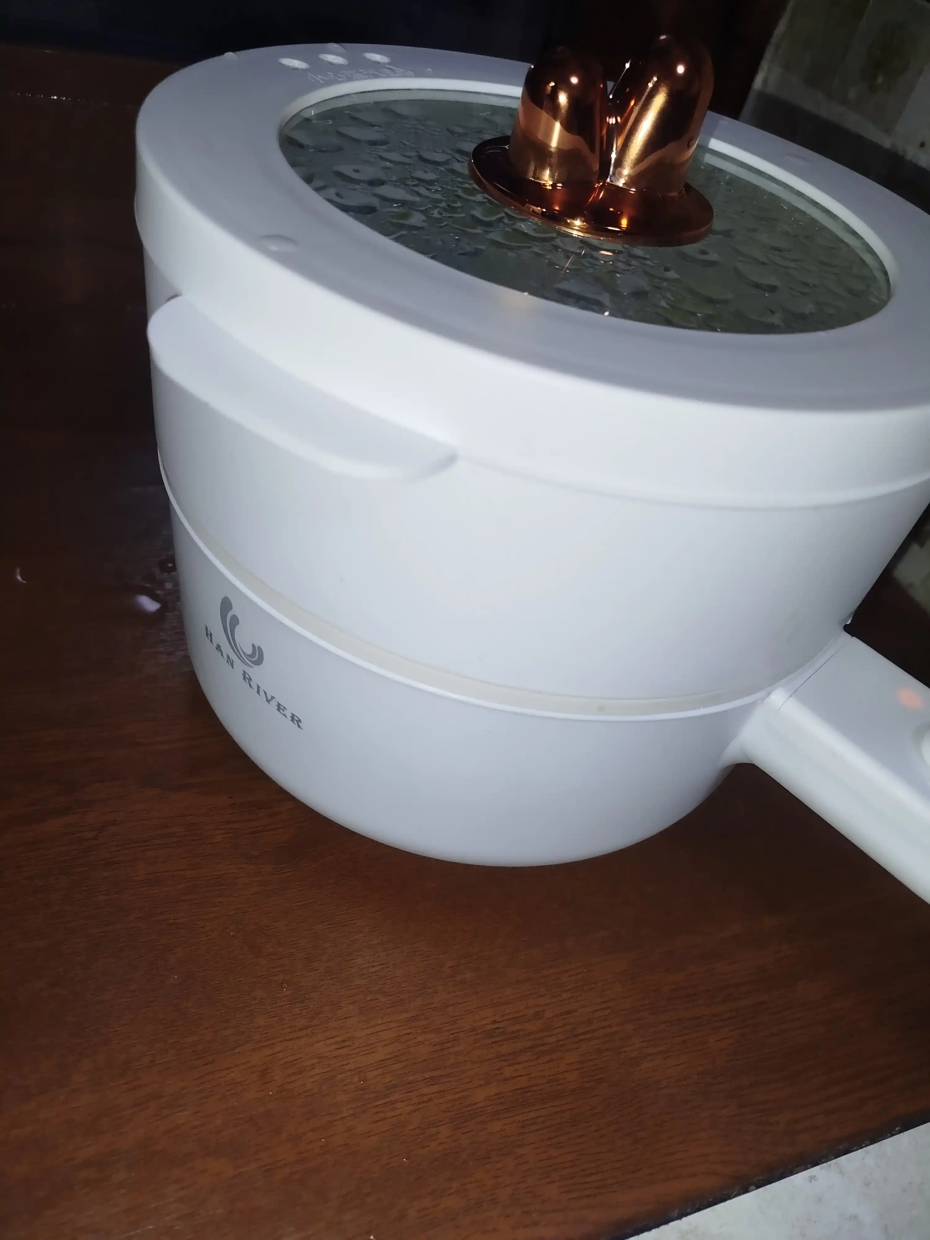 Bug‘da pishirish, qovurish, bug‘da taom tayyorlash uchun elektr qozon
