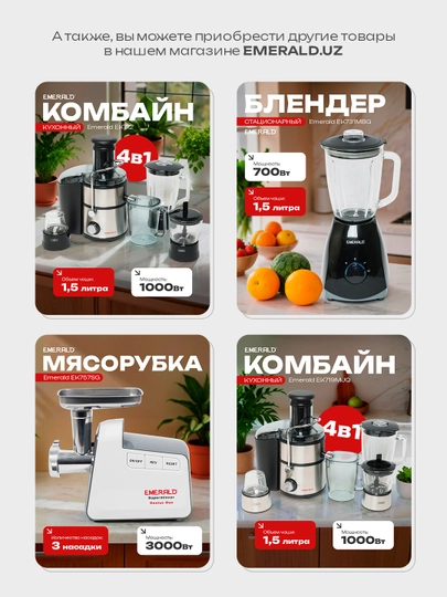 Блендер стационарный 2 в 1, кофемолка, измельчитель EMERALD